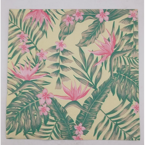 SERVITTES GREEN & PINK TROPICAL SERVITTES GREEN & PINK TROPICAL